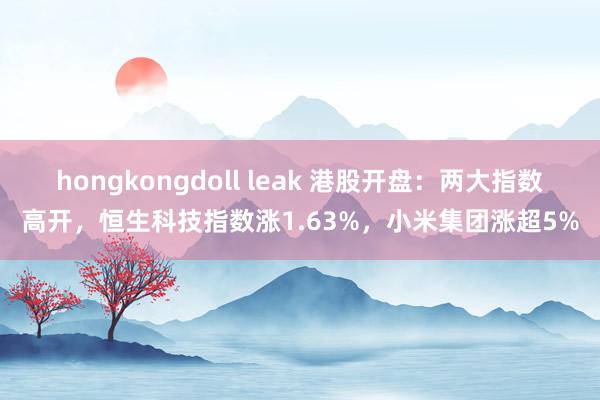 hongkongdoll leak 港股开盘：两大指数高开，恒生科技指数涨1.63%，小米集团涨超5%