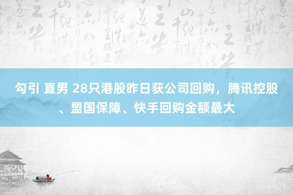 勾引 直男 28只港股昨日获公司回购，腾讯控股、盟国保障、快手回购金额最大