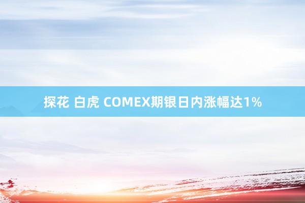 探花 白虎 COMEX期银日内涨幅达1%
