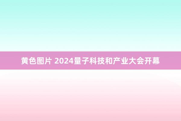 黄色图片 2024量子科技和产业大会开幕