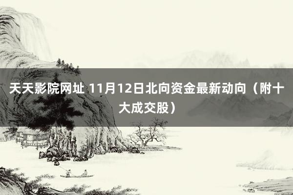 天天影院网址 11月12日北向资金最新动向（附十大成交股）
