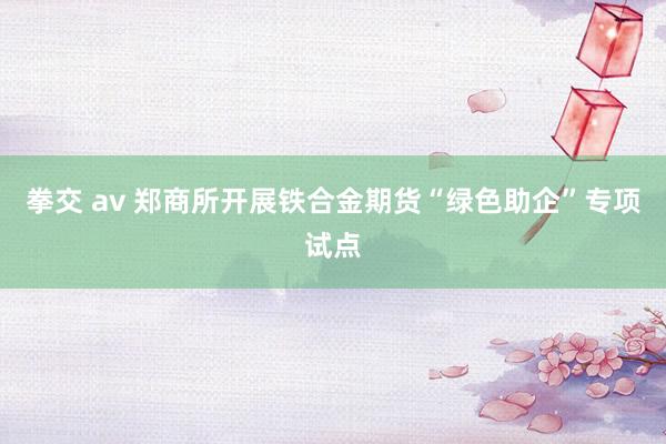 拳交 av 郑商所开展铁合金期货“绿色助企”专项试点