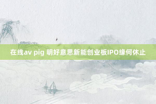 在线av pig 明好意思新能创业板IPO缘何休止