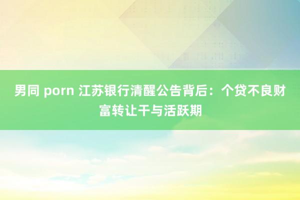 男同 porn 江苏银行清醒公告背后：个贷不良财富转让干与活跃期
