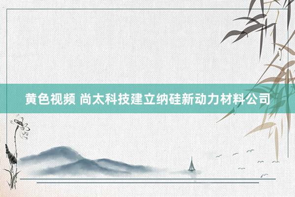 黄色视频 尚太科技建立纳硅新动力材料公司
