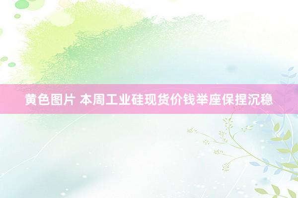 黄色图片 本周工业硅现货价钱举座保捏沉稳